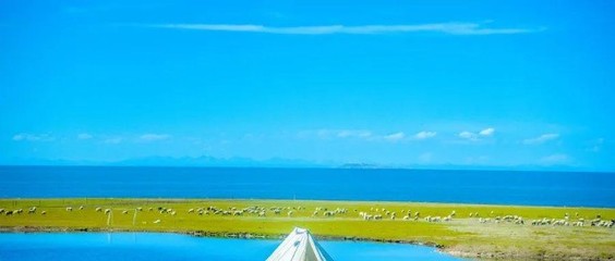 露營(yíng)熱浪襲來(lái) 旅行社轉(zhuǎn)型的機(jī)遇與挑戰(zhàn)