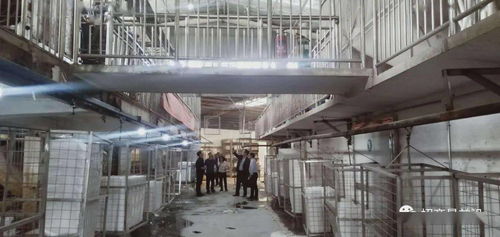 綠色包裝與節能保溫材料項目成功簽約，金屬裝飾材料零售市場迎新機